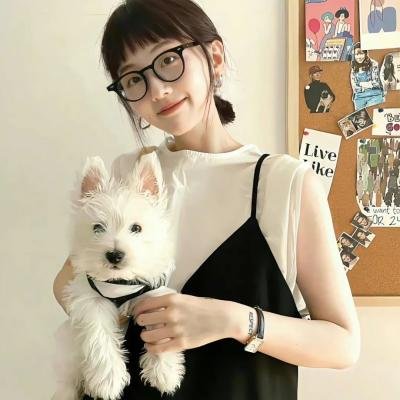 镇灵攻略第一季封面