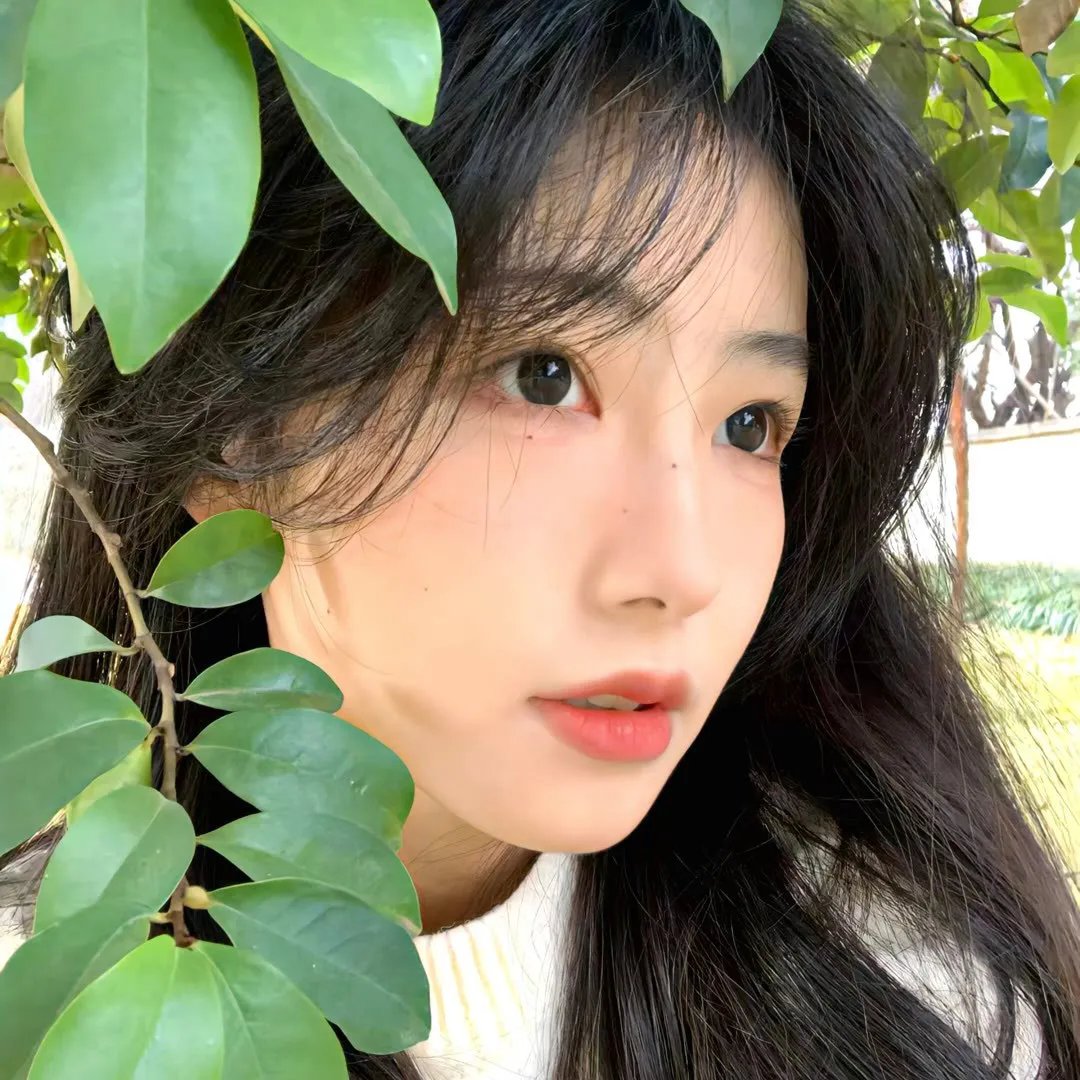 甜蜜的十一月封面
