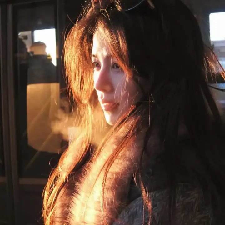 神偷燕子李三封面