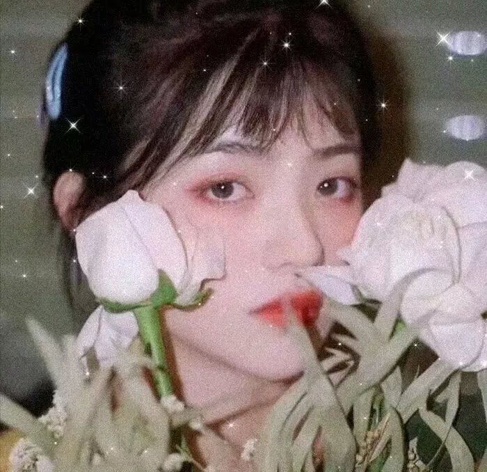 血婚封面